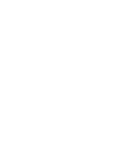 Balkan Ruby Logo